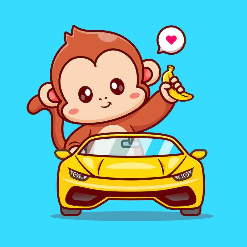 monkey driving fast car